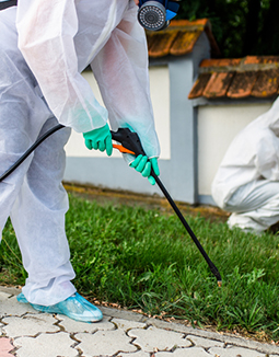 tree pruning services melbourne
